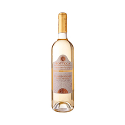 Vino Bottega Chardonnay Delle Venezie 750ml