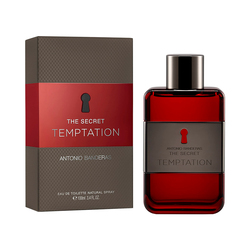 Perfume Masculino Antonio Banderas The Secret Temptation 100ml EDT